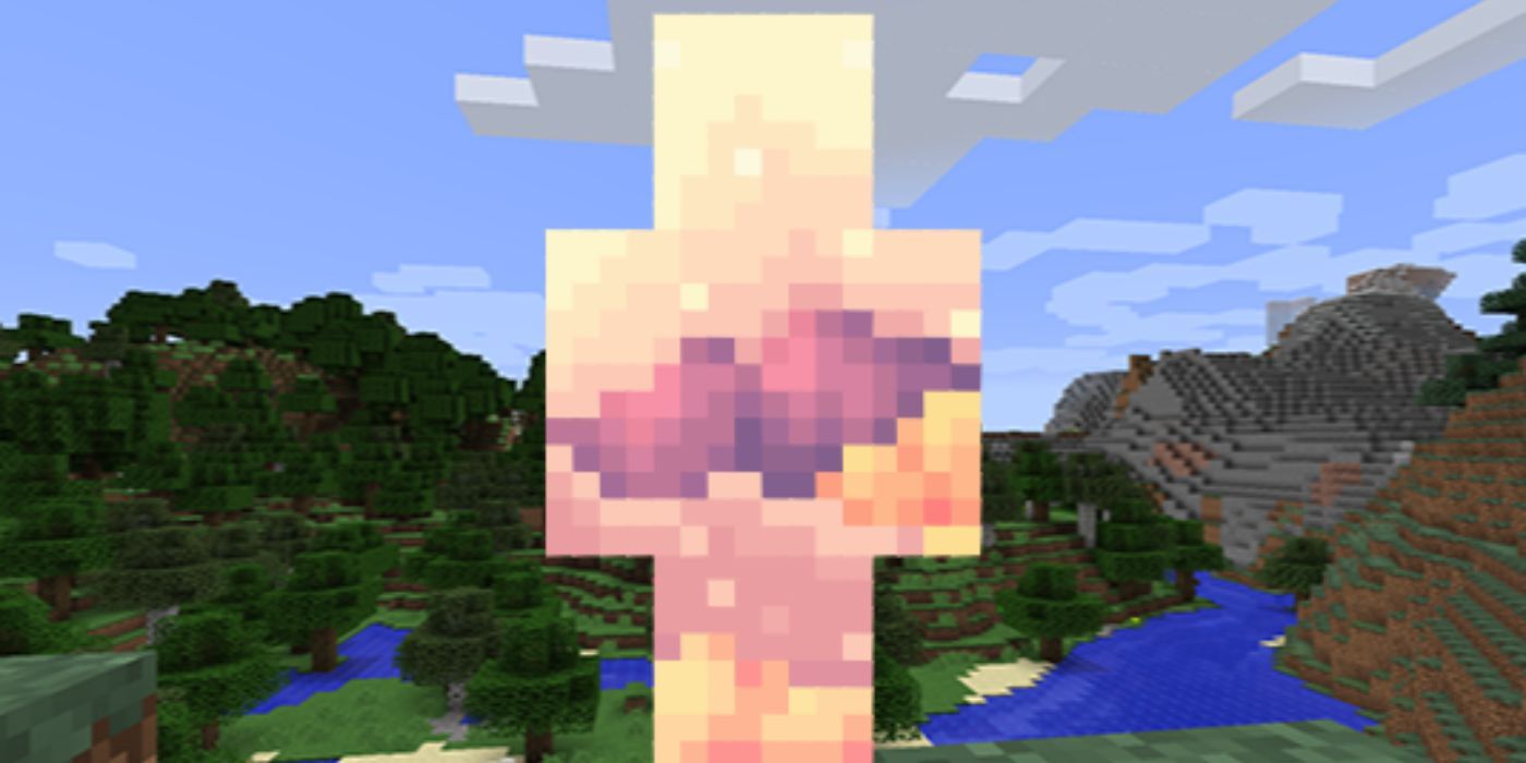 Minecraft Pixel Art Skin
