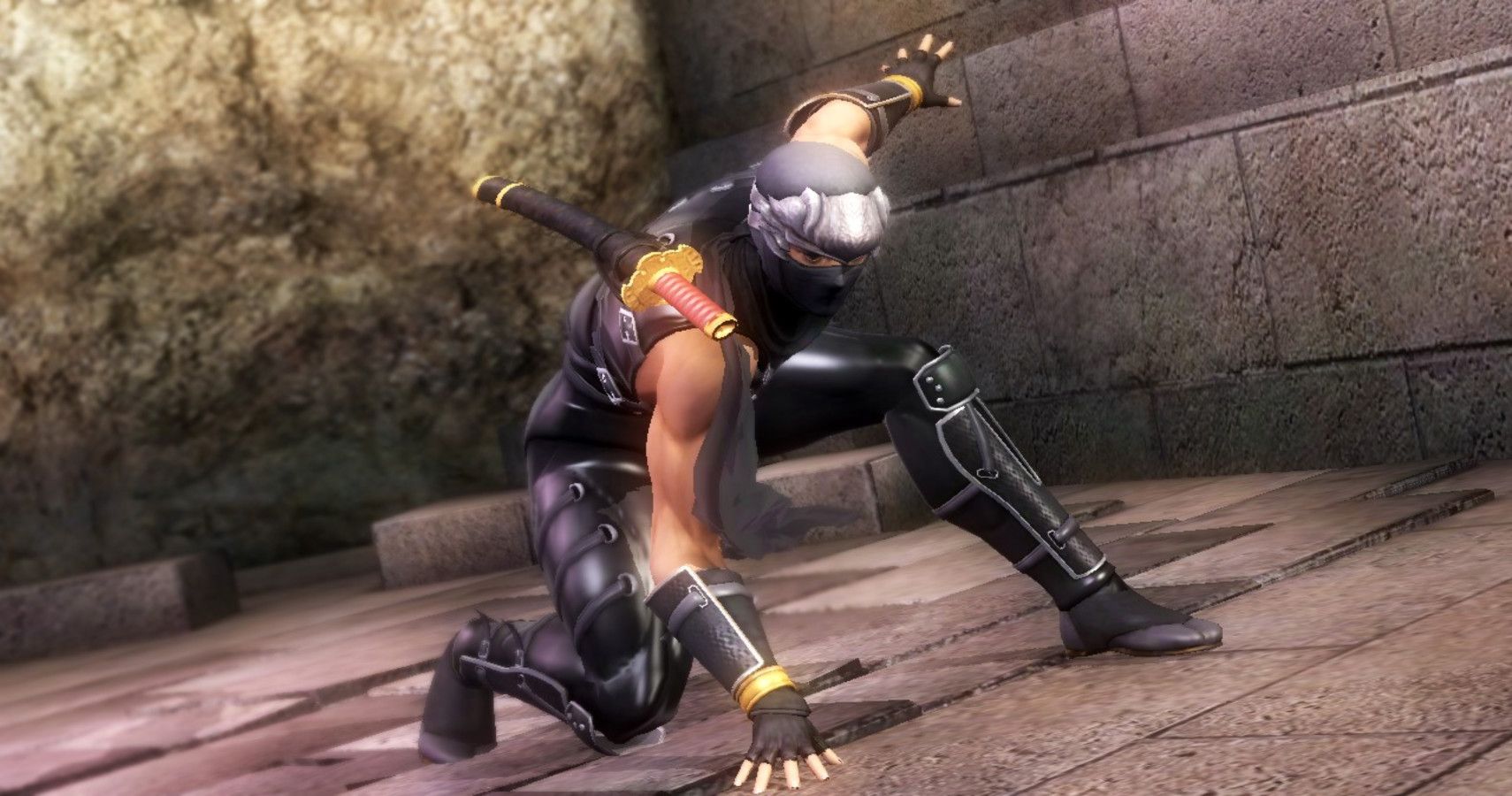 Ninja gaiden sigma deals pc