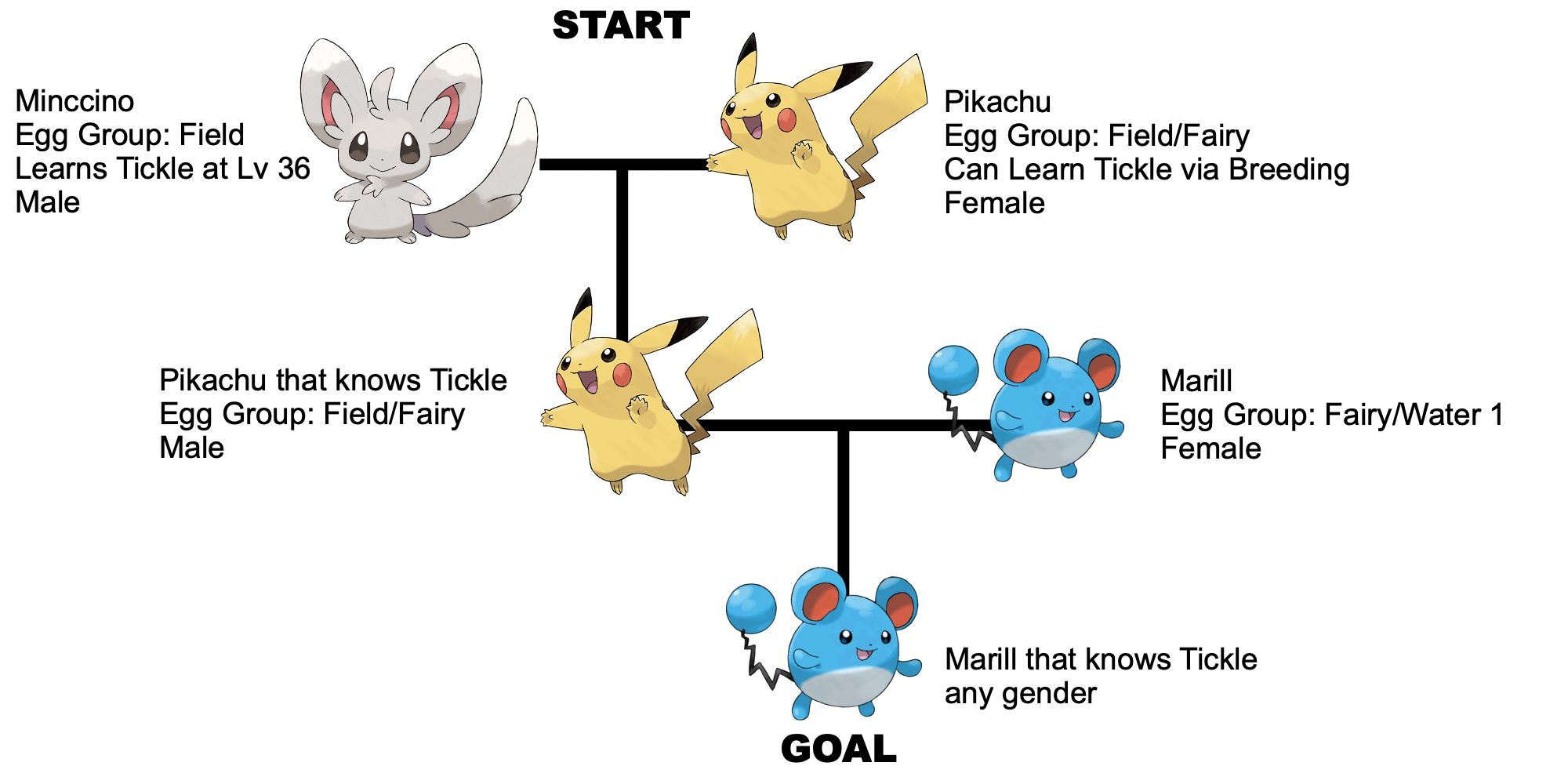 Minccino Pikachu Marill Chain Breeding Diagram