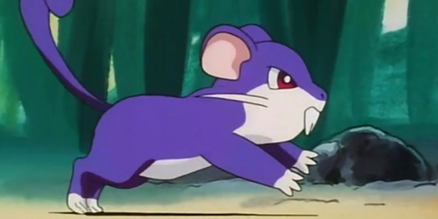Pokemon Normal Worst Rattata