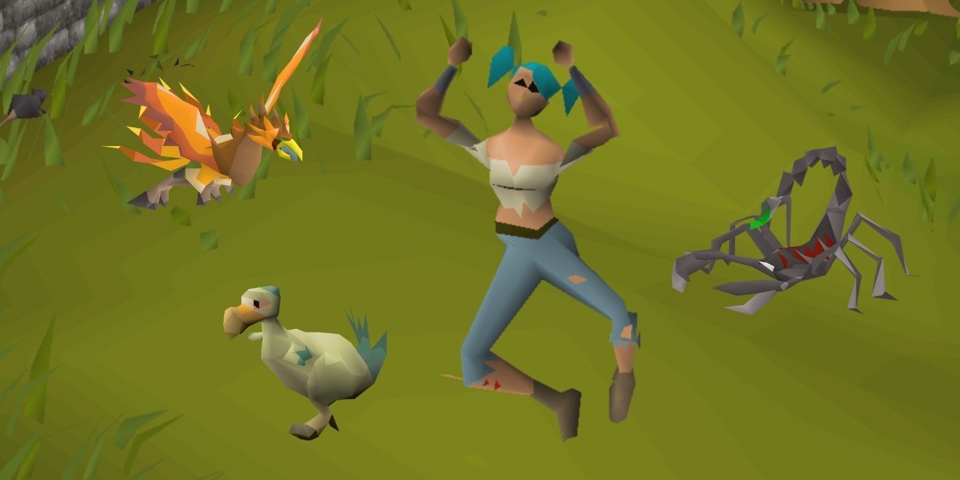OSRS pets phoenix, chompy chick and scorpia's offspring