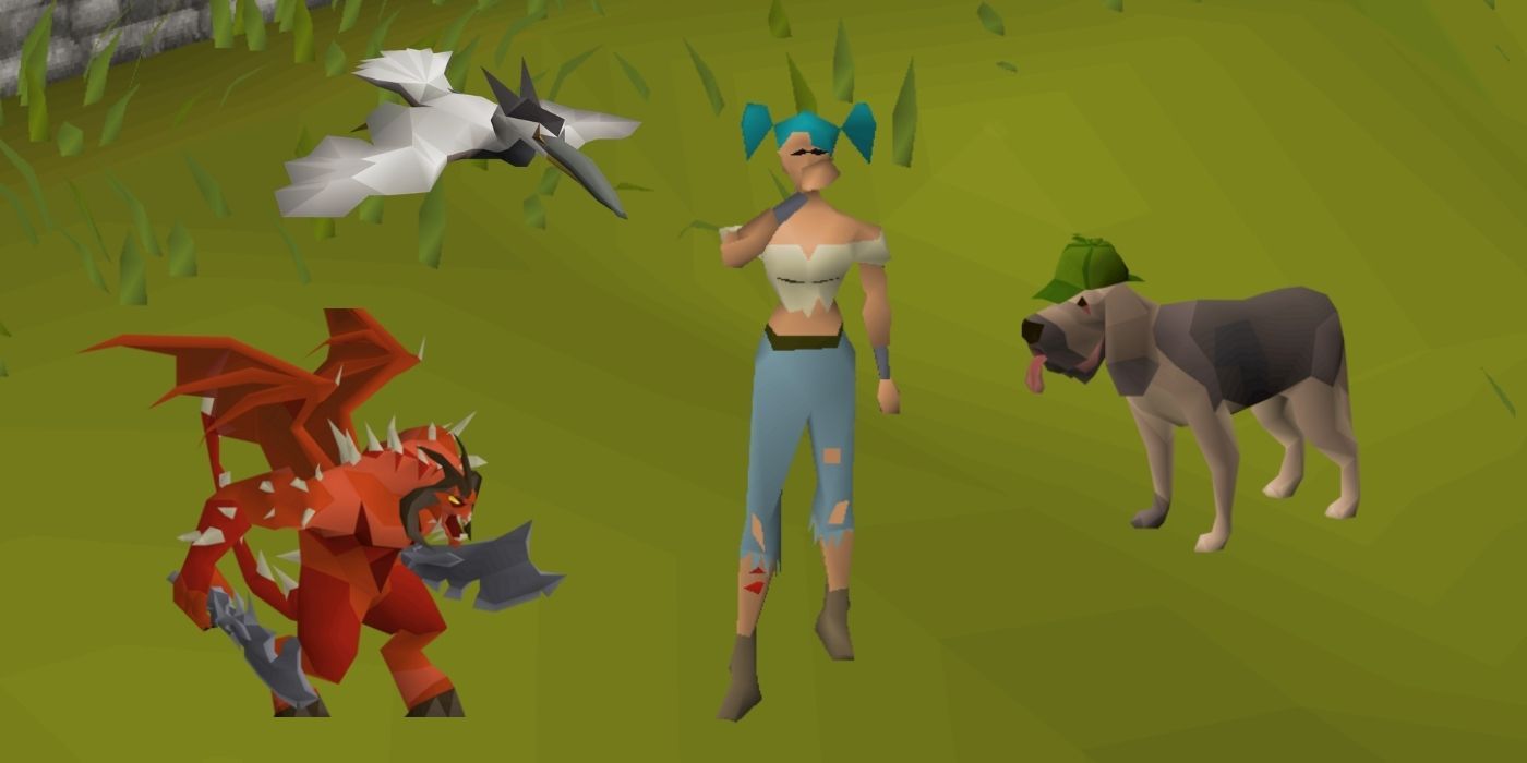 Runescape pets Heron, Bloodhound and Kr'il