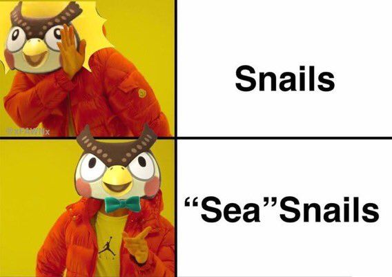 Sea Snail Vs Snail Animal Crossing Drake Format Blathers Meme