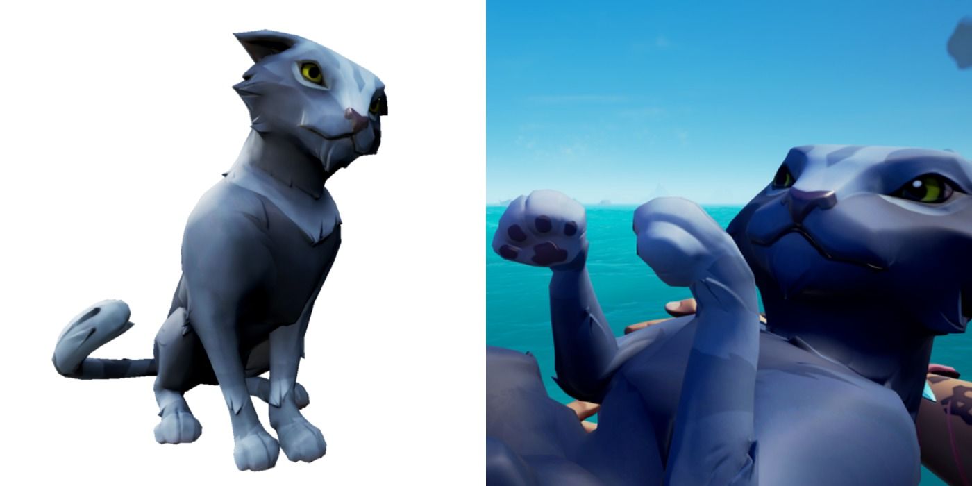 Sea of Thieves Sapphire Wildcat