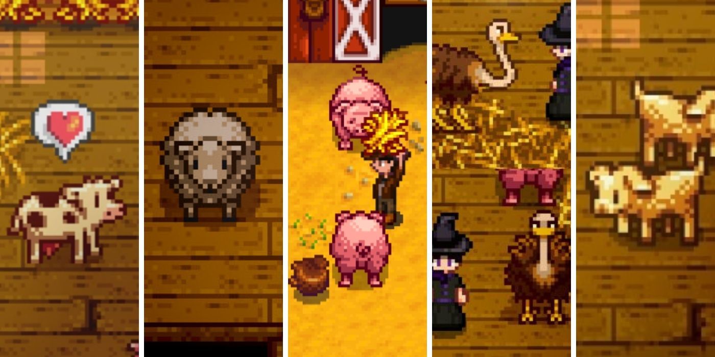 Stardew Valley Barn Animals, (Left to Right) Cow Sheep Pig Ostrich Goat Split Image