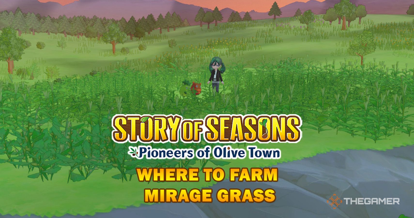 Story of Seasons Pioneers of Olive Town Where To Farm Mirage Grass