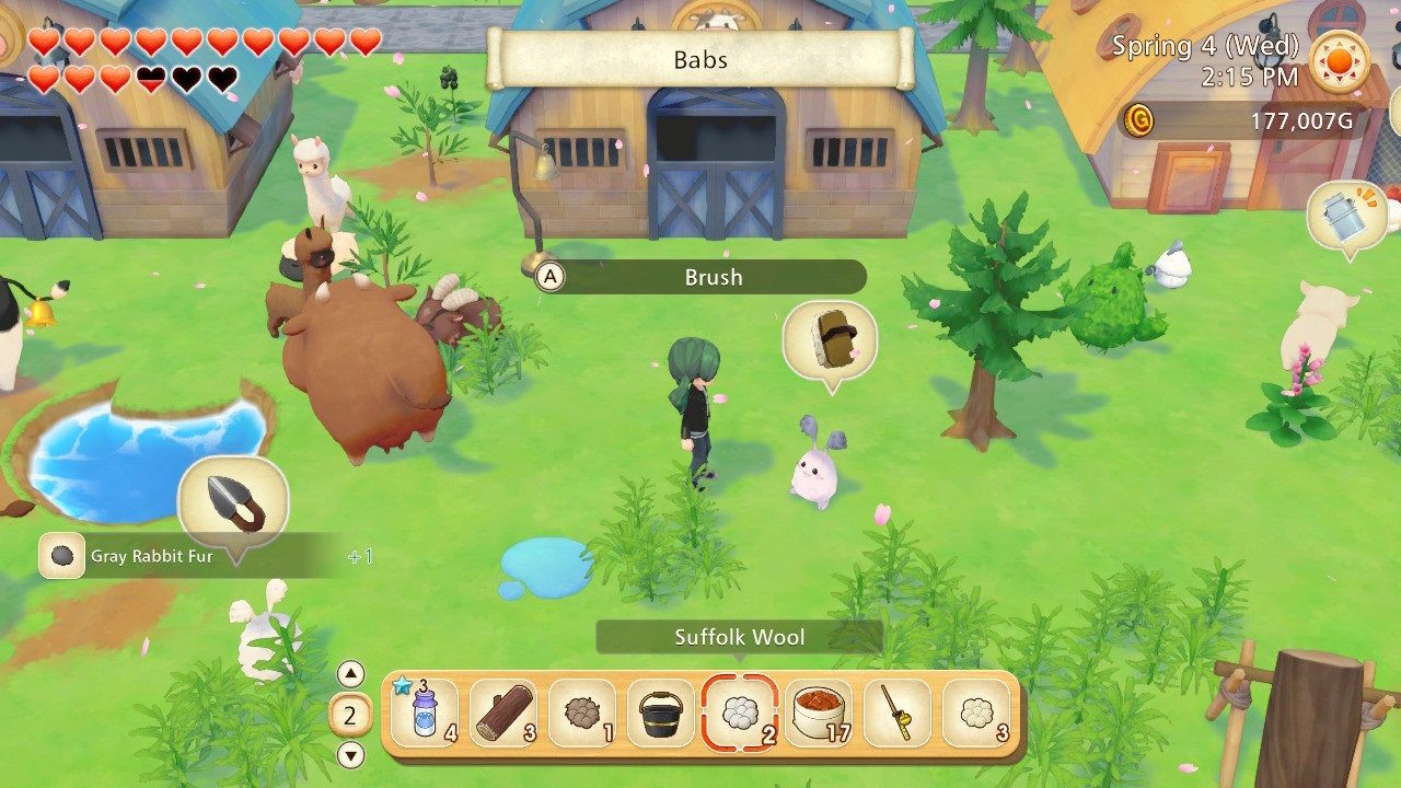 A player brushing a suffolk rabbit in Story of Seasons Pioneers of Olive Town