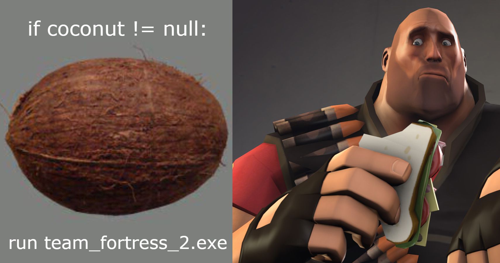 This Coconut In Team Fortress 2 S Game Files If Deleted Breaks The Game And No One