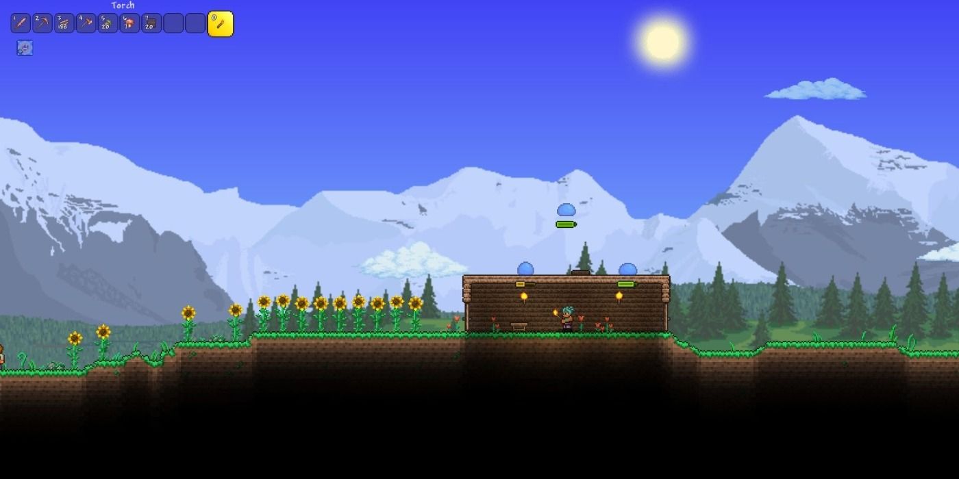 Advanced combat techniques terraria что