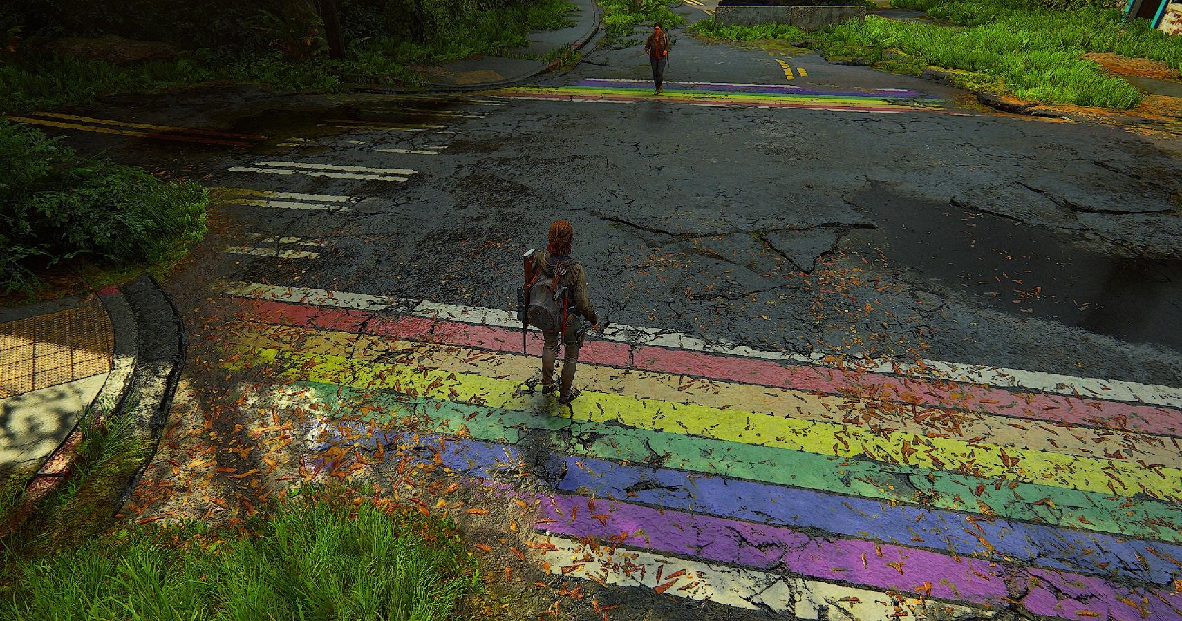 The Last of Us Part 2 Ellie and Dina Pride flag