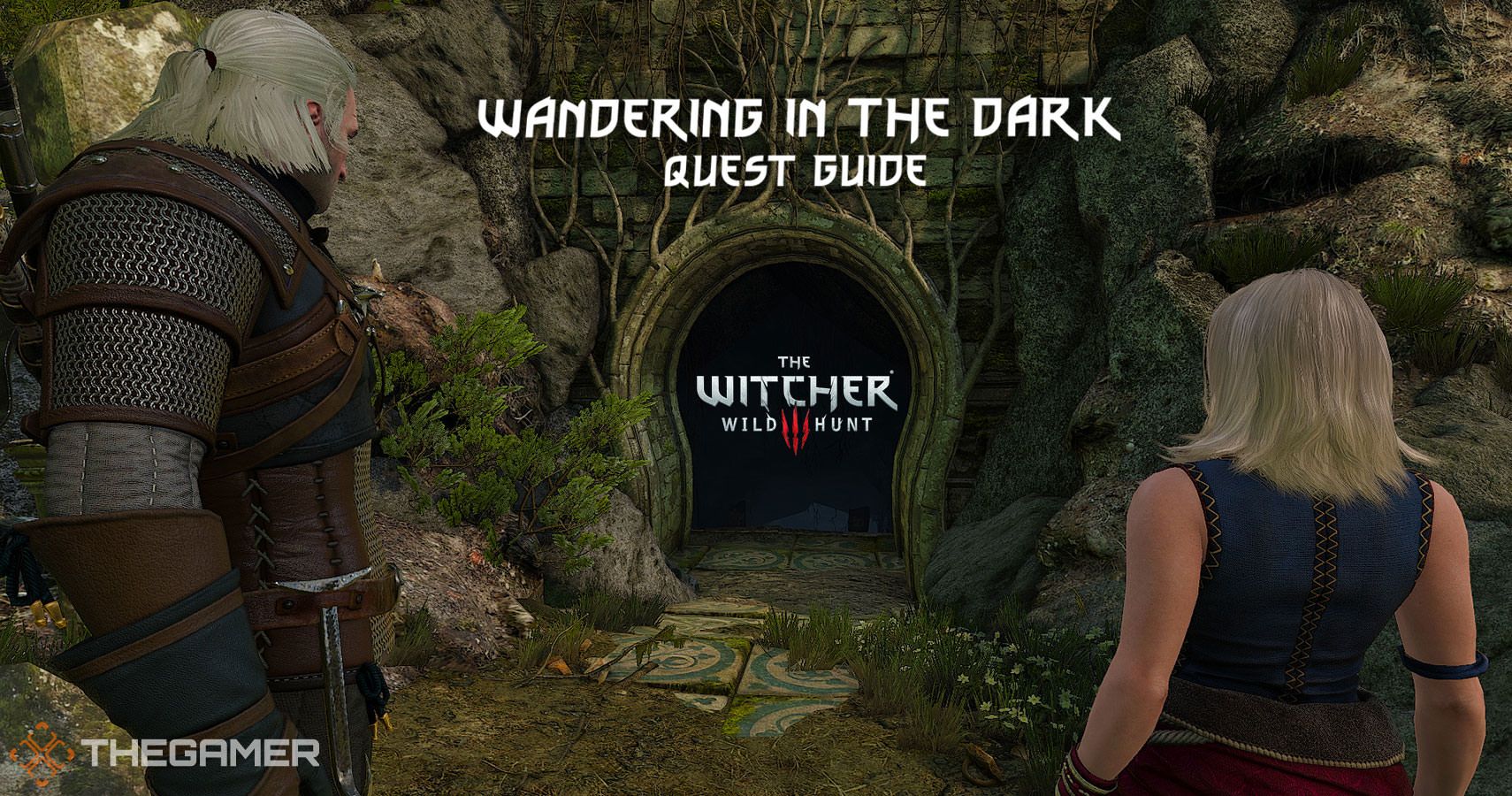 Imperial Audience - Tips And Best Answers - White Orchard - Walkthrough, The Witcher 3: Wild Hunt