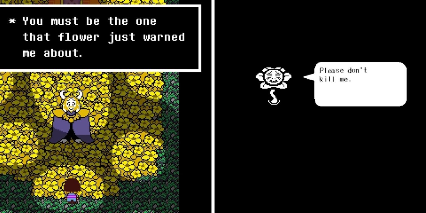 Undertale - Asgore in his throne room speaking about Flowey - Flowey begging the player not to kill him