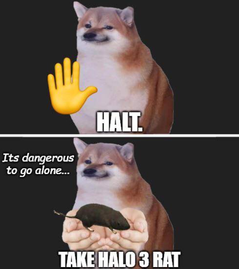 Halo 10 Best Halo 3 Rat Memes