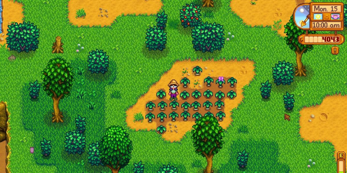 A player foraging spring onions in the Cinder Snap Forest