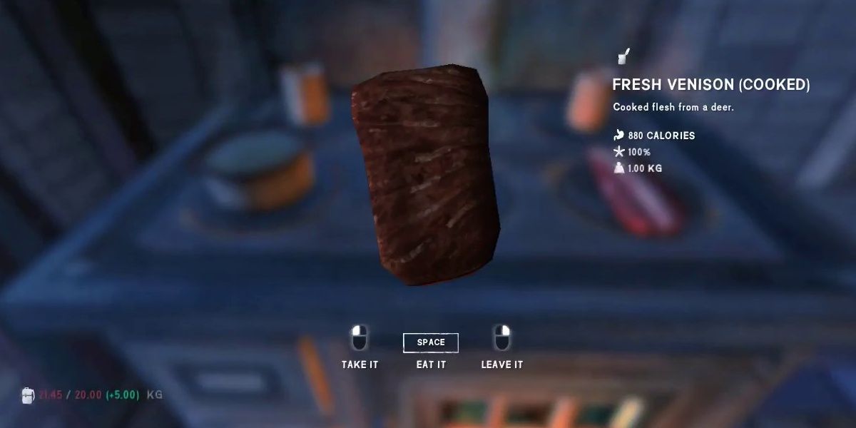 cooked meat in The Long Dark
