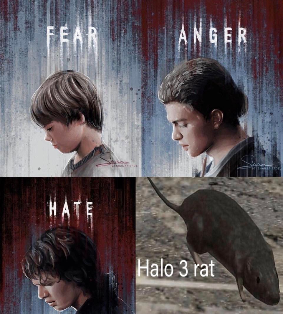 Halo: 10 Best Halo 3 Rat Memes