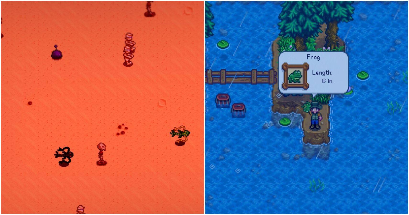 Stardew Valley Expanded - Claire's Home at Stardew Valley Nexus - Mods and  community