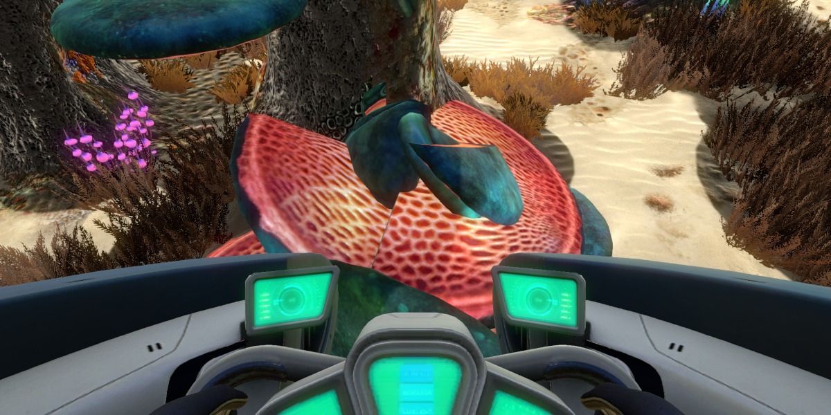 Fungal Samples from subnautica