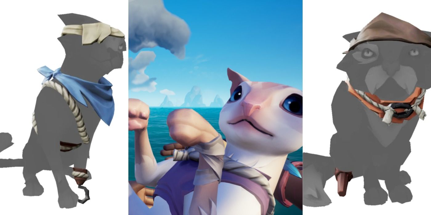 Bilge Rat cat outfit in Sea of Thieves