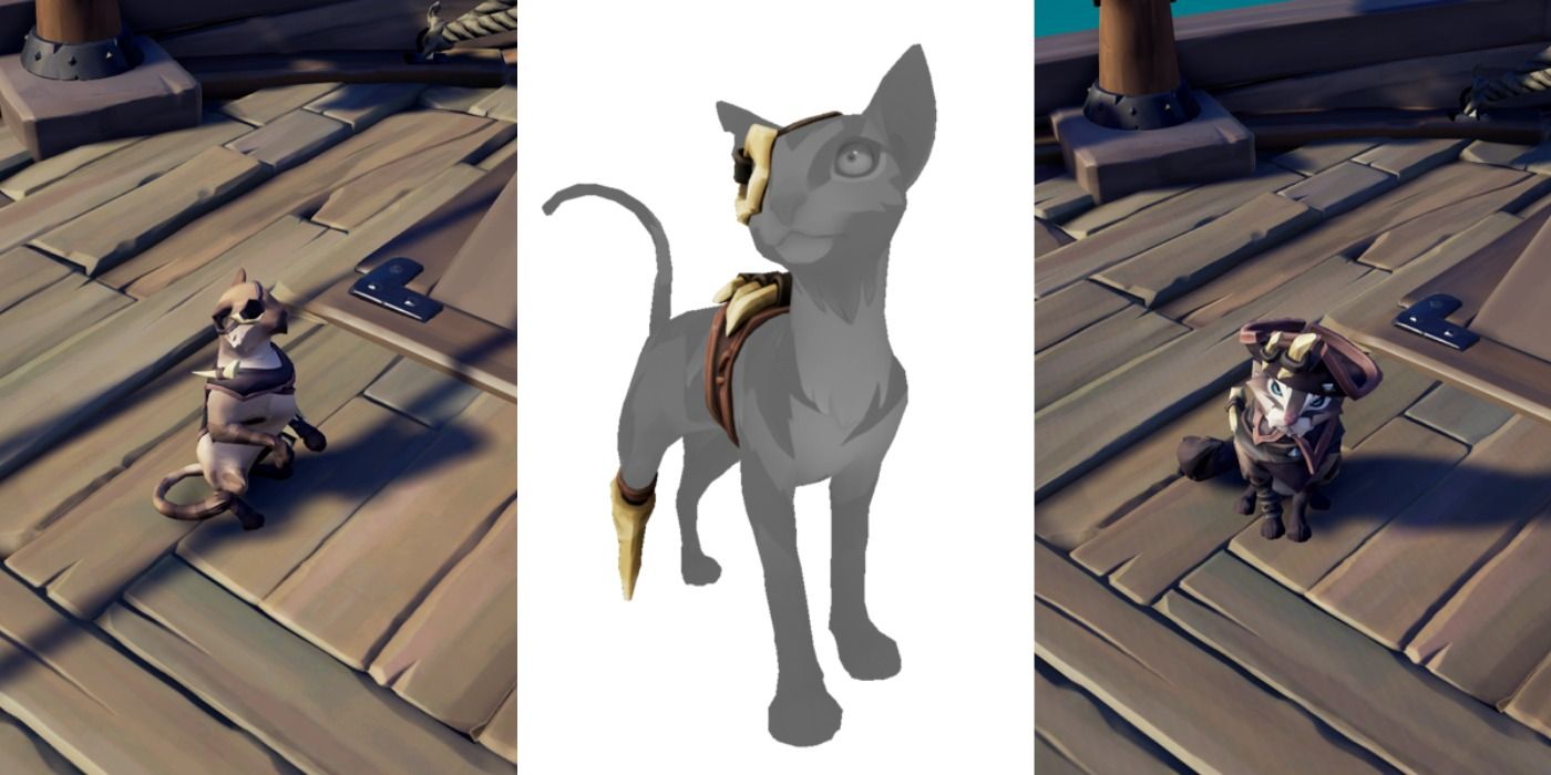 Bone Crusher outfit for cats in Sea of Thieves