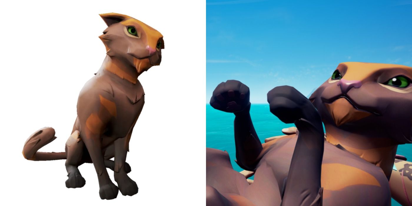 Claycoat Wildcat in Sea of Thieves
