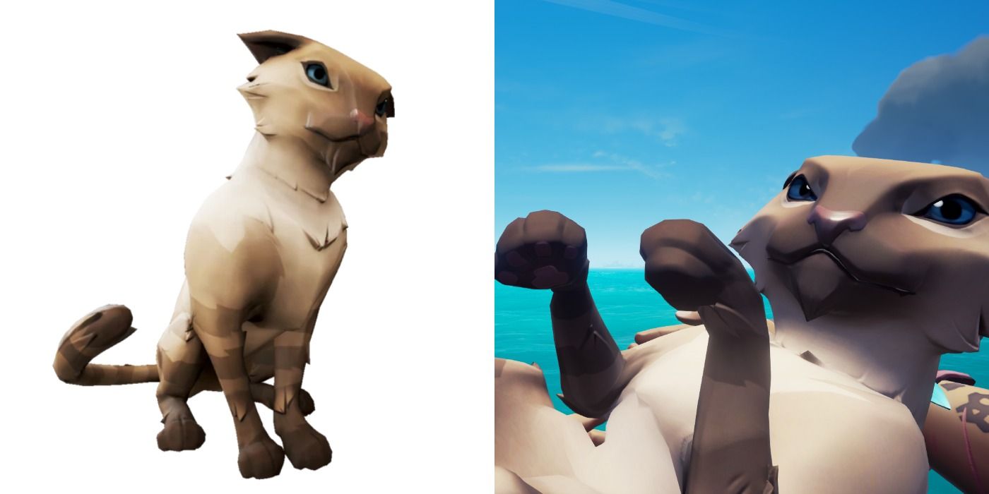 Island Wildcat in Sea of Thieves