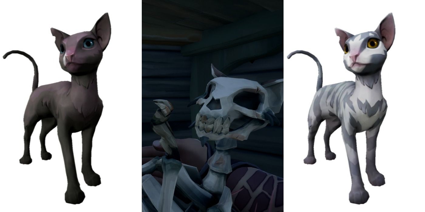 Mau cats in Sea of Thieves