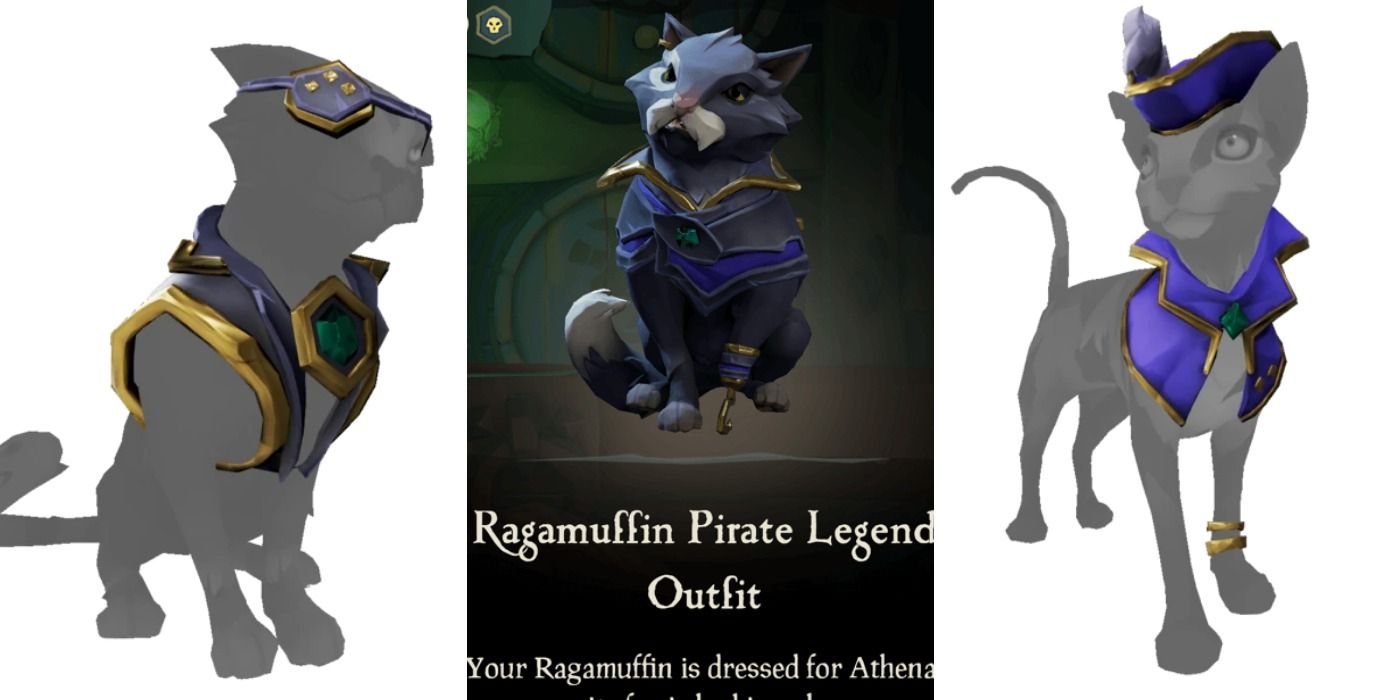Pirate Legend cat outfit in Sea of Thieves