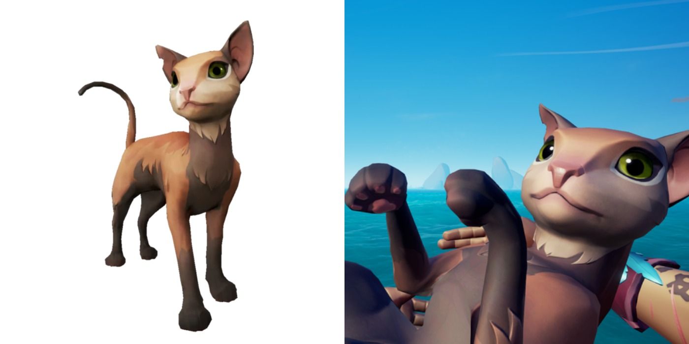 Sandchaser Mau in Sea of Thieves