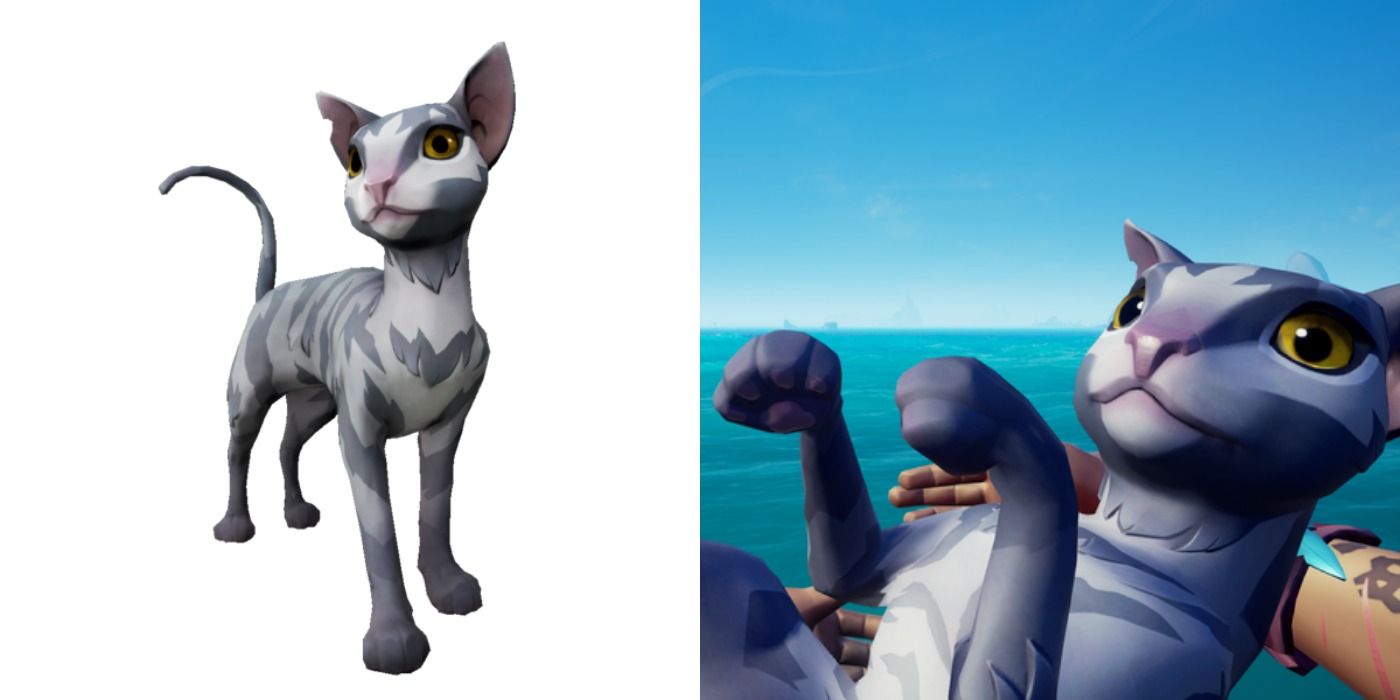 Stormy Mau in Sea of Thieves