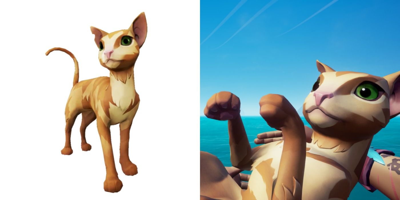 Tabby Mau in Sea of Thieves