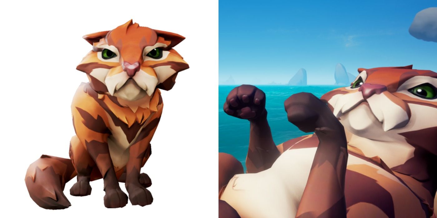 Tawny Ragamuffin in Sea of Thieves