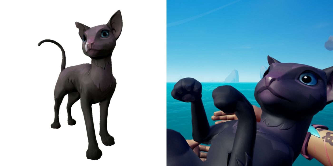 Twilight Mau in Sea of Thieves