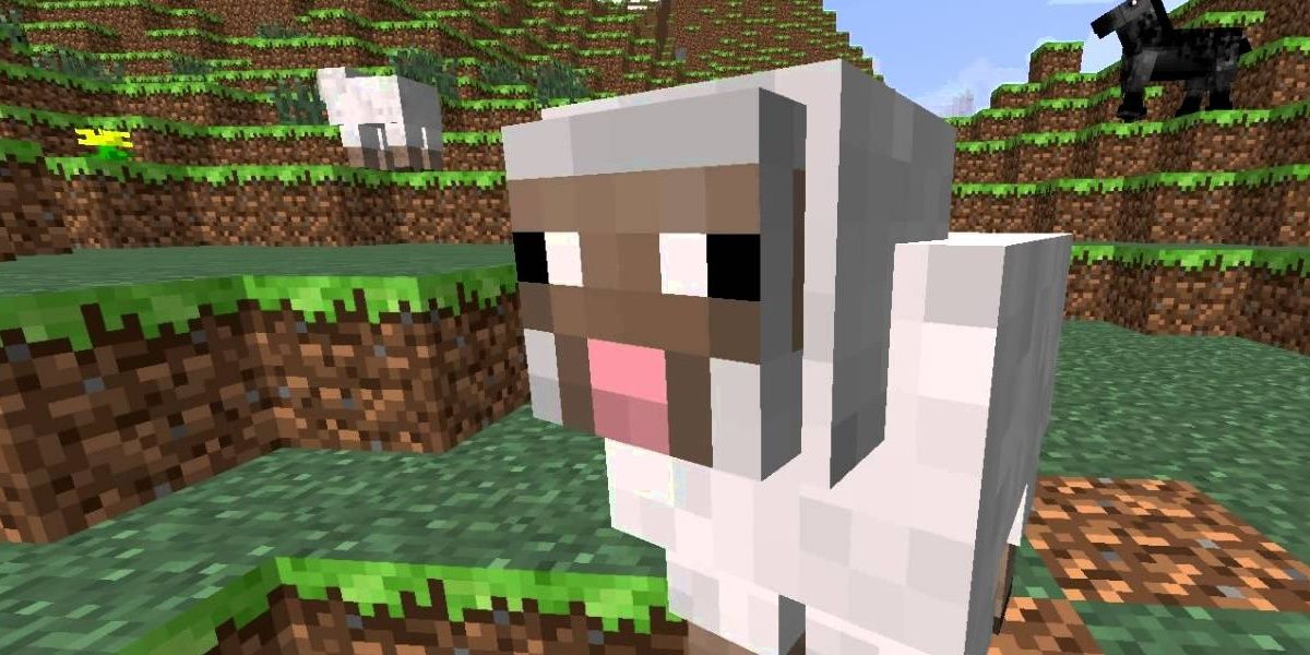 minecraft: sheep in a plains biome