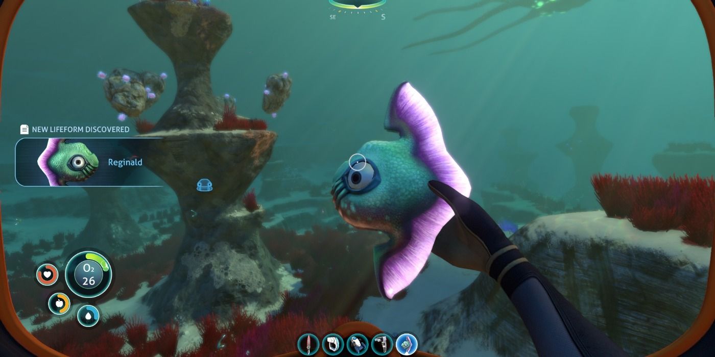 Reginald in Subnautica