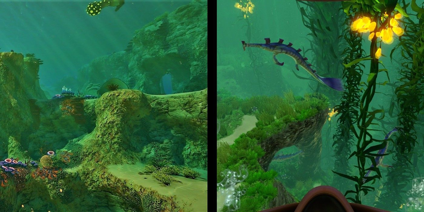 Safe shallows and kelp forest in Subnautica
