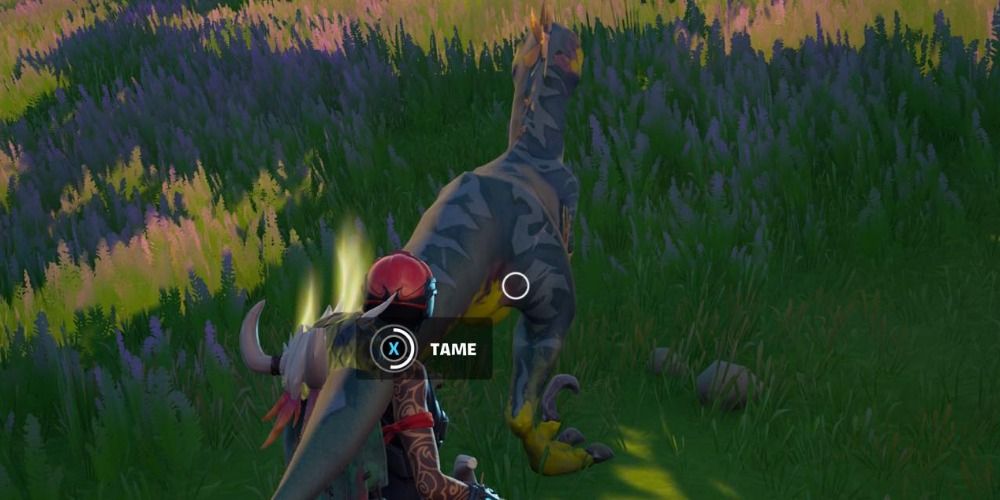 how to tame raptor fortnite