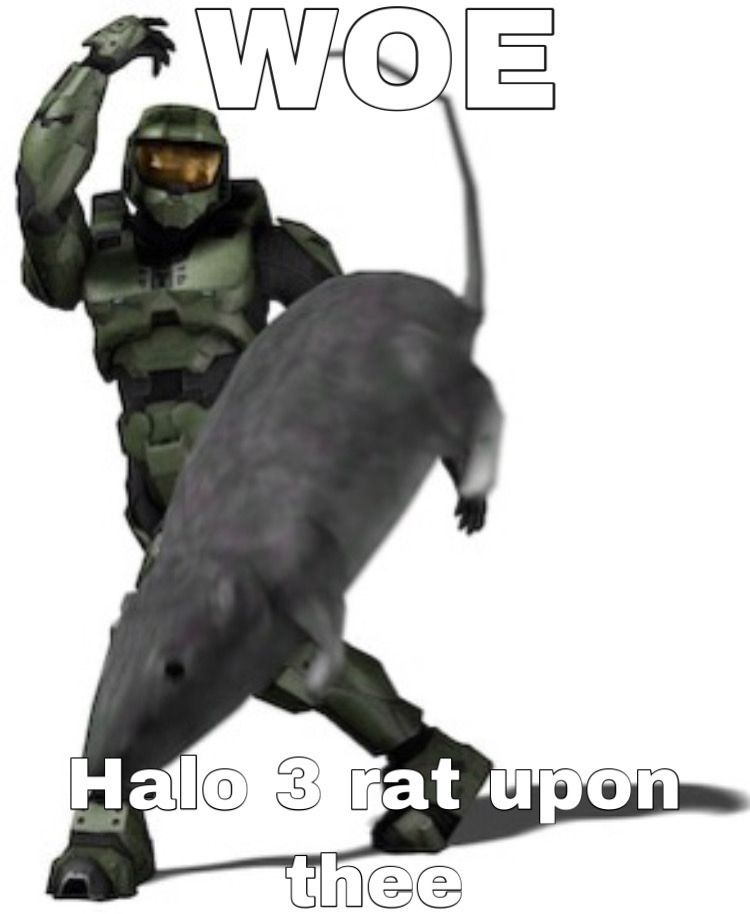 Halo: 10 Best Halo 3 Rat Memes