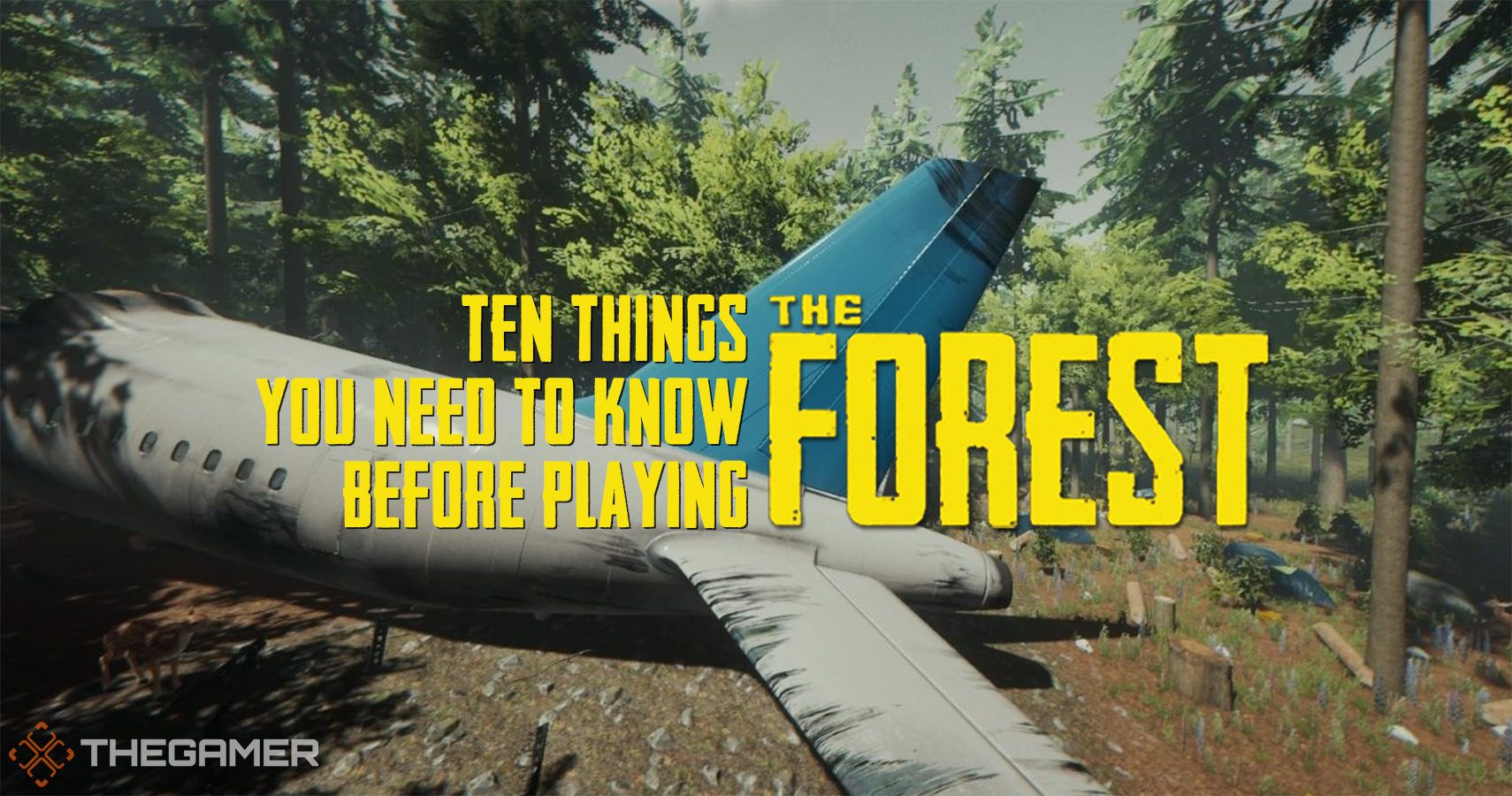 væv Regnfuld Uegnet The Forest: Beginner Tips For Survival