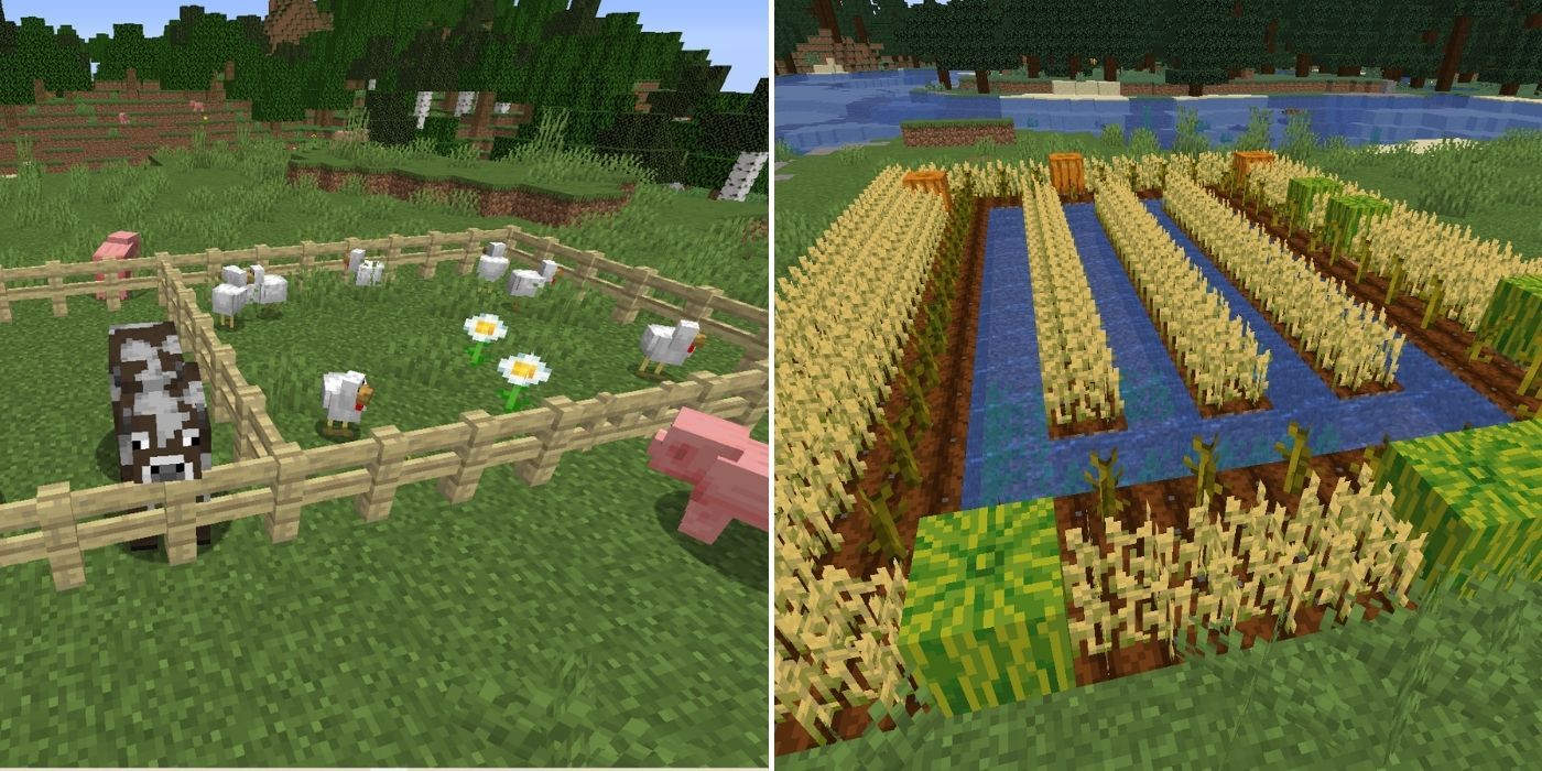 Minecraft: A cow and chicken pen - A farm full of crops