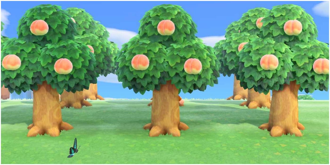 Animal Crossing New Horizons 3 Fully Grown Peach Trees and A Butterfly