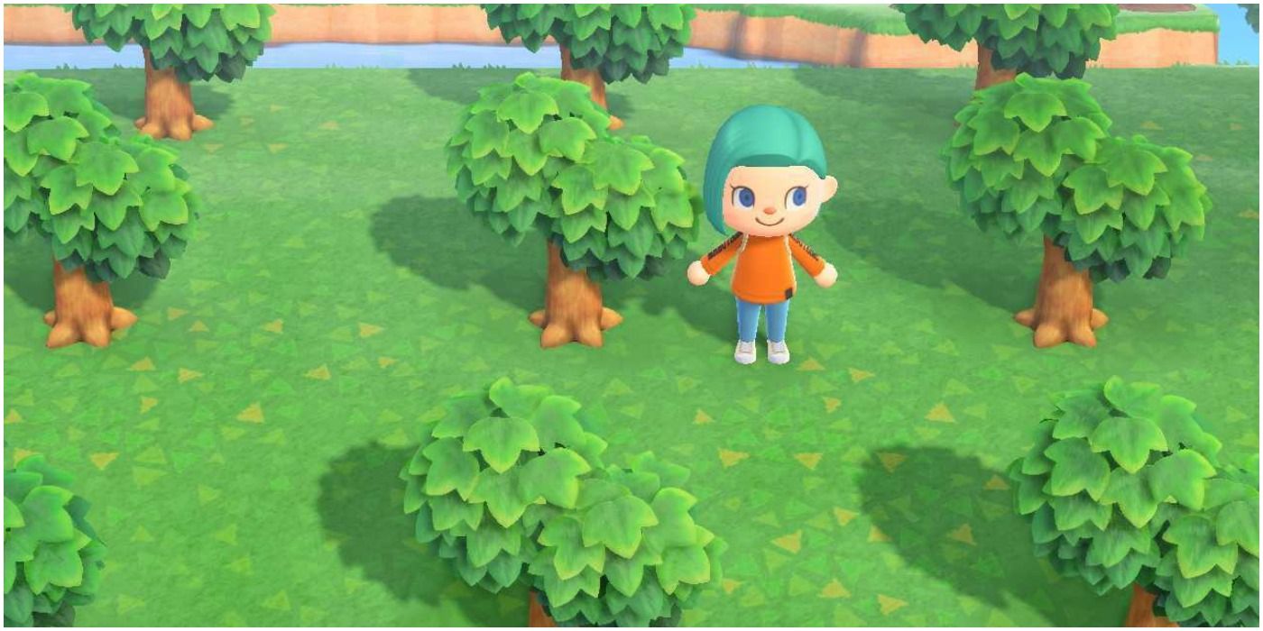 Animal Crossing New Horizons Day 3 Of Tree Growth For Orchard