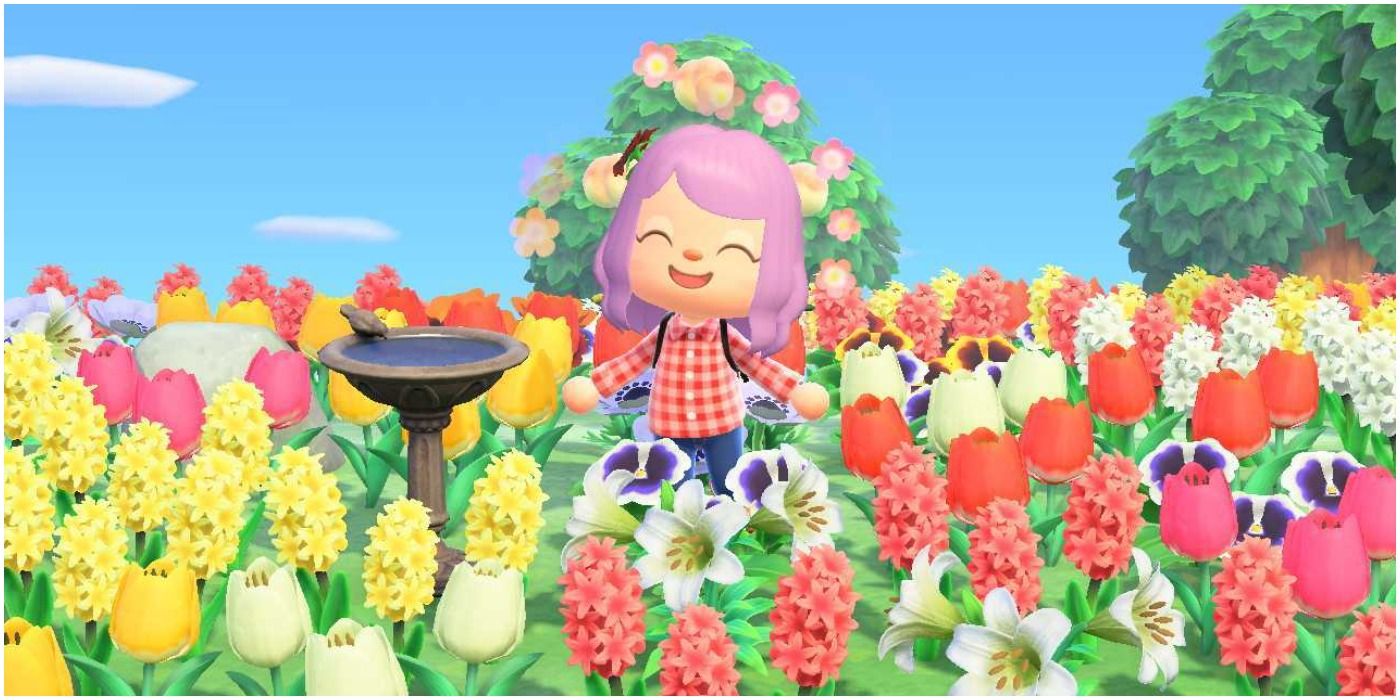 Animal Crossing New Horizons Flower Field Bird Bath Villager Happy