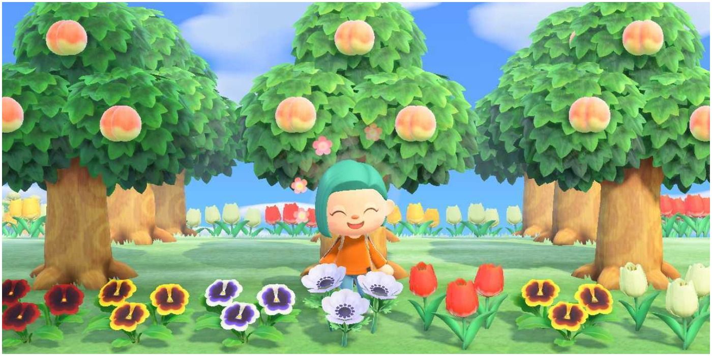 Animal Crossing New Horizons Fruit Trees Flowers and Happy Villager