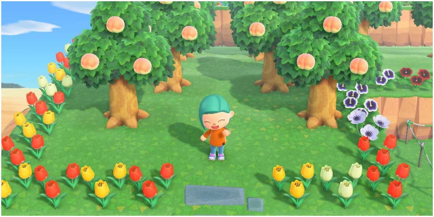 Animal Crossing New Horizons Happy Villager In The Orchard