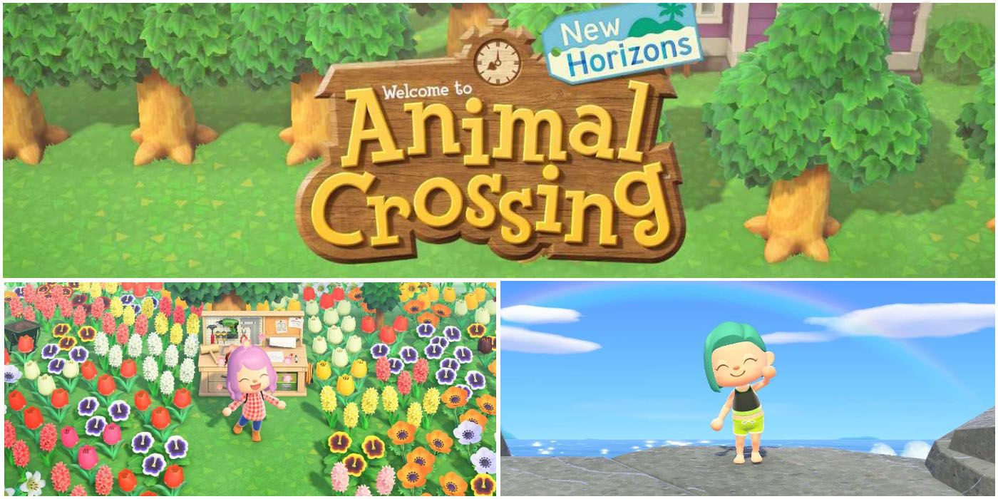 ACNH: Making The Most Of Your Island Experience Without Nintendo Online