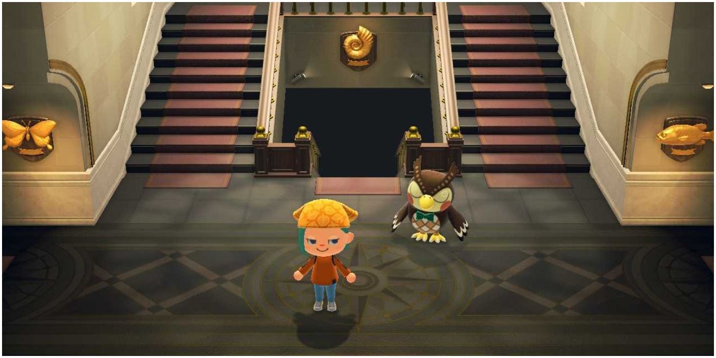 Over 3 years later, Animal Crossing: New Horizons fans are ready to talk  about their least favorite bits of the game