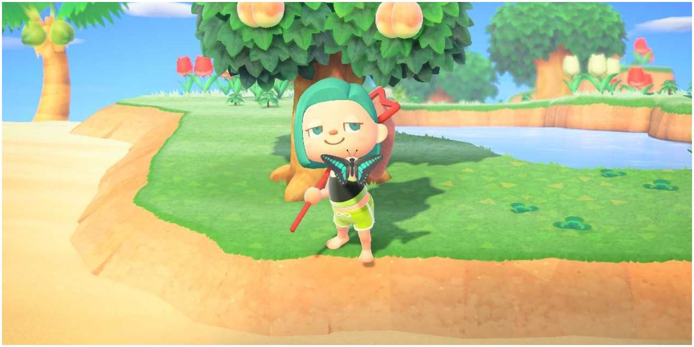 Animal Crossing New Horizons Mystery Island Tour Butterfly Capture