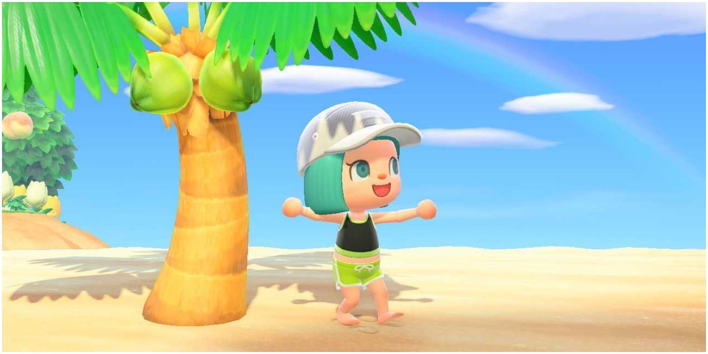 Animal Crossing New Horizons Mystery Island Tour Photoshoot Guide Beach Coconut Tree