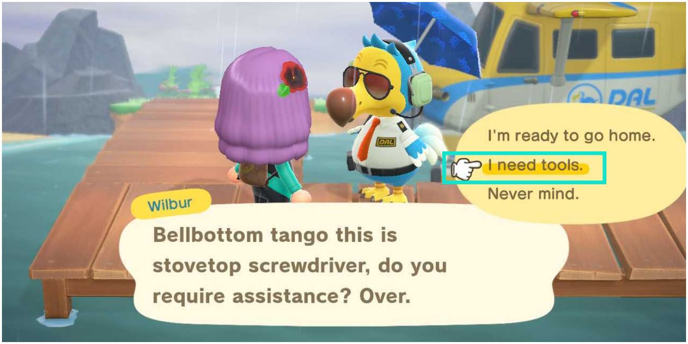 Animal Crossing New Horizons Mystery Island Tour Requesting New Tools